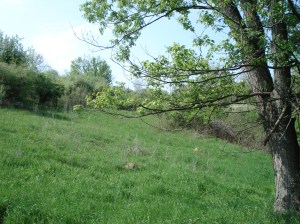 Family History Trip Spring 2011 1577