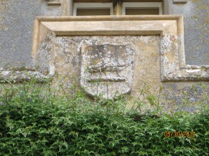 Cannot Get Away from this Noble Bug